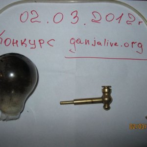 IMG 0013