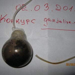 IMG 0017