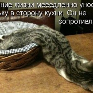 к3