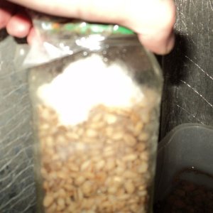 миц атакует новые банки