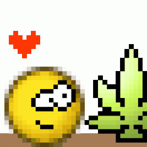 icon pcixeat