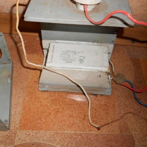 DSCN0754