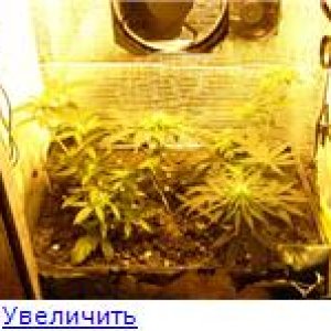 1301600cadbft