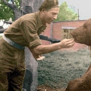 Bear 09