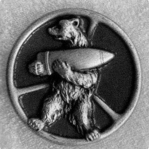 Bear 13