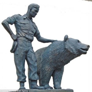 Bear 16