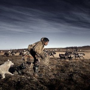 reindeer And people02