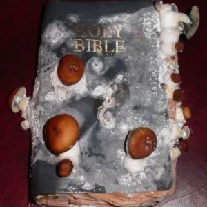 holy mushroom bible