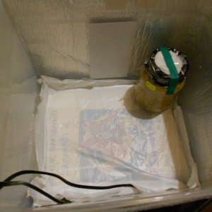 DSCN0777