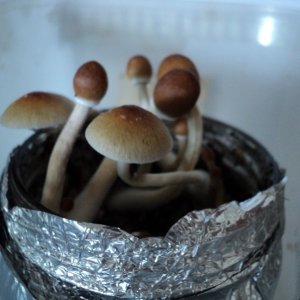 с добрым утром