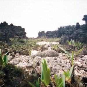 Roraima 005