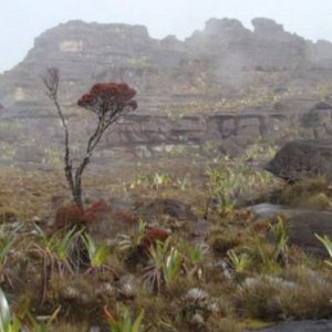 Roraima 007