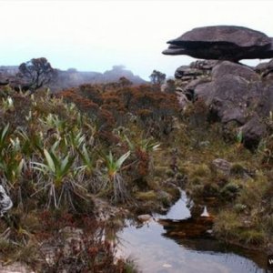 Roraima 011