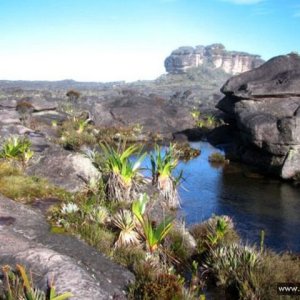 Roraima 012