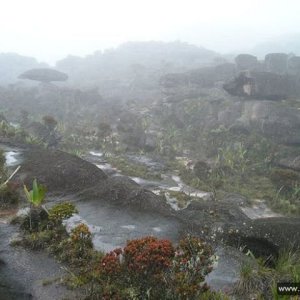 Roraima 013