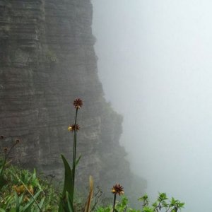 Roraima 017