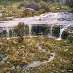 Roraima 022