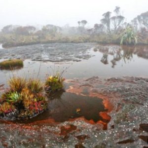 Roraima 023