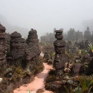 Roraima 027