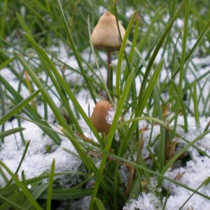 PA050397