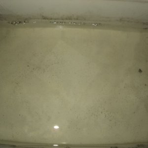 споры воде кейк стоял над водой