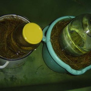 002