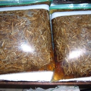 Ziplock001