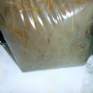Ziplock002