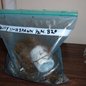Ziplock003