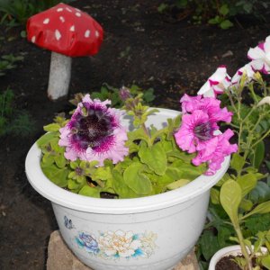 DSCN0901
