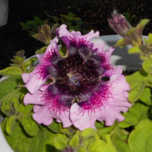 DSCN0902