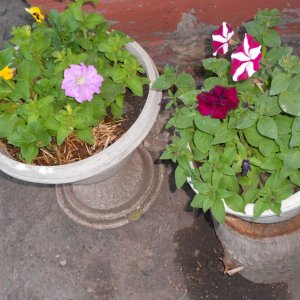 DSCN0906