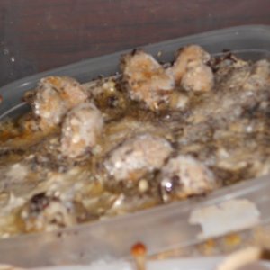 DSCN0913