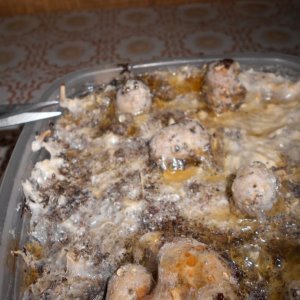 DSCN0920