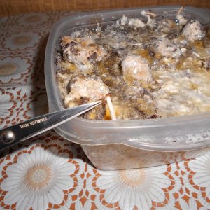 DSCN0921