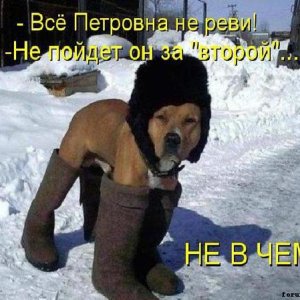 с3