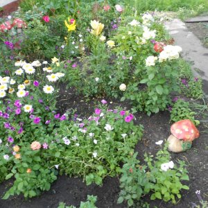 DSCN0962