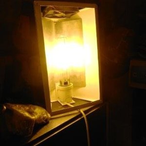 DSCN0976