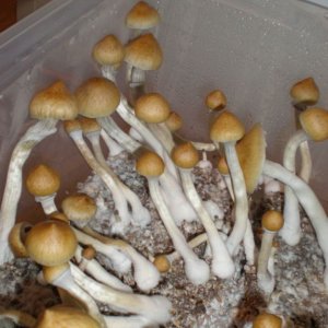 P6010166