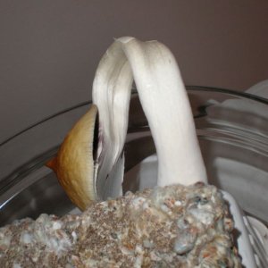 P6070171