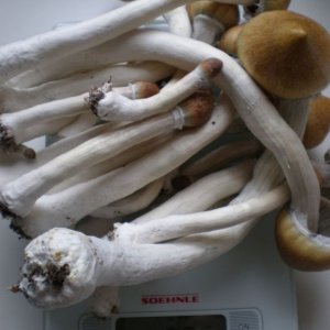 P6120178