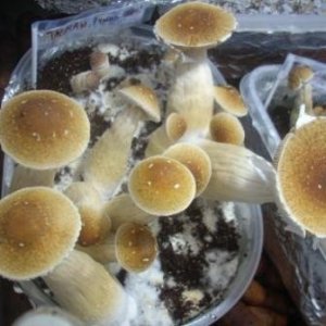 DSCN1339