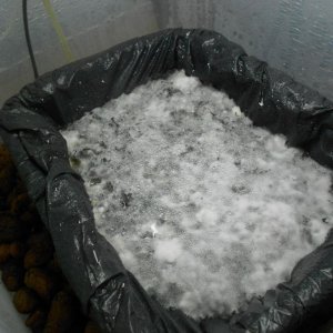 DSCN1093