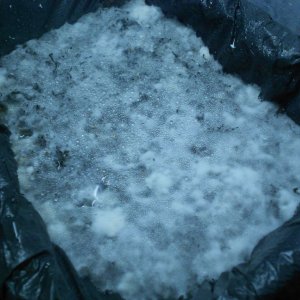 DSCN1095
