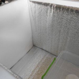 DSCN1098