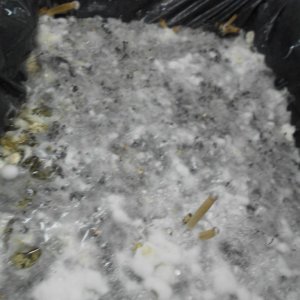 DSCN1106