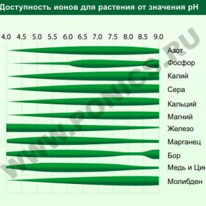 avail chart