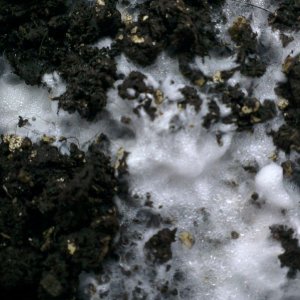 i004