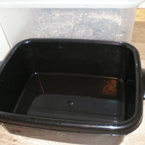 P7200212