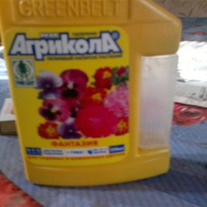 26 июля(9)
